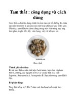 Tam thất : công dụng và cách dùng potx