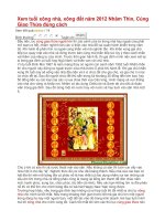 Xem tuổi xông nhà pot