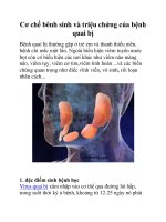 Cơ chế bênh sinh và triệu chứng của bệnh quai bị ppt