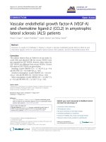 báo cáo hóa học: 