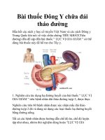 Bài thuốc Đông Y chữa đái tháo đường pdf