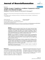 báo cáo hóa học: 