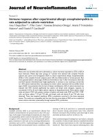 báo cáo hóa học: 