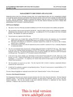 city of Newnan ,Georgia audit report for the year ended December 31, 2008_part2 pdf