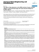 báo cáo hóa học: 