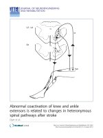 Báo cáo hóa học: 