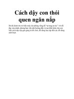 Cách dậy con thói quen ngăn nắp pptx