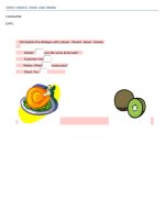 FIRST CHOICE-FOOD AND DRINK pdf