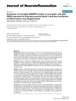 báo cáo hóa học: 