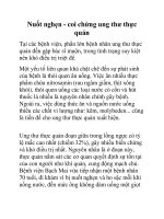 Nuốt nghẹn - coi chừng ung thư thực quản ppt