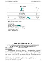 SÁNG KIẾN KINH NGHIỆM 2010 pot