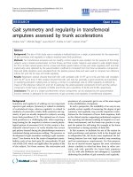 báo cáo hóa học: 