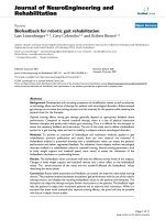 báo cáo hóa học: 