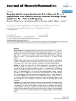 báo cáo hóa học: 