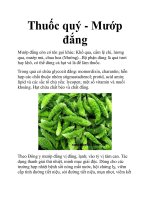 Thuốc quý - Mướp đắng doc