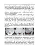 Crystalline Silicon Properties and Uses Part 4 ppt