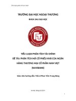PHÂN TÍCH MÃ CỔ PHIẾU NVB CỦA NGÂN HÀNG THƯƠNG MẠI CỔ PHẦN NAM VIỆT (NAVIBANK)