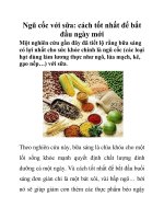 Ngũ cốc với sữa: cách tốt nhất để bắt đầu ngày mới ppt