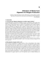 Biofuel''''s Engineering Process Technology Part 6 doc