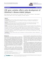 báo cáo hóa học: 