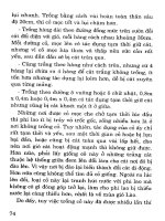 Kỹ thuật trồng phi lao chống cát part 6 pptx