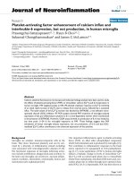 báo cáo hóa học: 