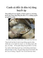 Canh cá diếc lá dâu trị tăng huyết áp ppt