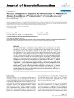 báo cáo hóa học: 