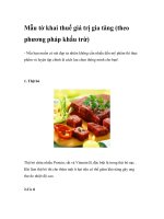Mẫu tờ khai thuế giá trị gia tăng (theo phương pháp khấu trừ) docx