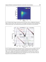 Nuclear Power Operation Safety and Environment Part 8 docx