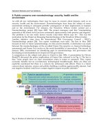 Biofuel''''s Engineering Process Technology Part 4 pot