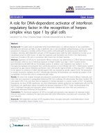 báo cáo hóa học: 