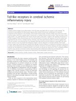 báo cáo hóa học: 