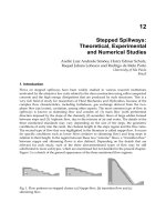 Hydrodynamics Natural Water Bodies Part 11 pptx