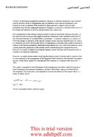 Regional Inspector General for Audit Cairo, Egypt_part3 ppt