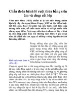 Chẩn đoán bệnh lý ruột thừa bằng siêu âm và chụp cắt lớp pptx