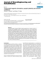 báo cáo hóa học: 