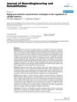 báo cáo hóa học: 