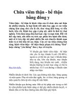 Chữa viêm thận - bể thận bằng đông y docx