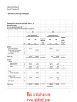 FINANCIAL AUDIT THE MUNICIPALITY OF FERIZAJ FINANCIAL STATEMENTS FOR THE YEAR ENDED 31 DECEMBER 2007_part4 doc