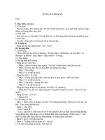 i chạy theo đường hẹp potx