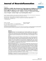 báo cáo hóa học: 