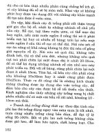 Kỹ thuật trồng phi lao chống cát part 8 doc