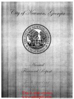 city of Newnan ,Georgia audit report for the year ended December 31, 2008_part1 doc