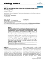 Báo cáo sinh học: 