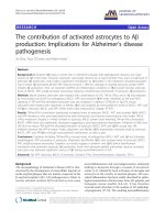 báo cáo hóa học: 