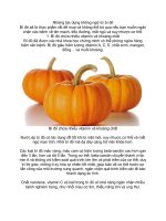 những tác dụng không ngờ từ bí đỏ