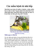 Các mầm bệnh từ nhà bếp docx