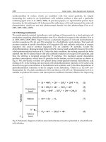 Solar Cells New Aspects and Solutions Part 8 ppt