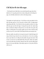 Chế độ ăn tốt cho bầu ngực pdf